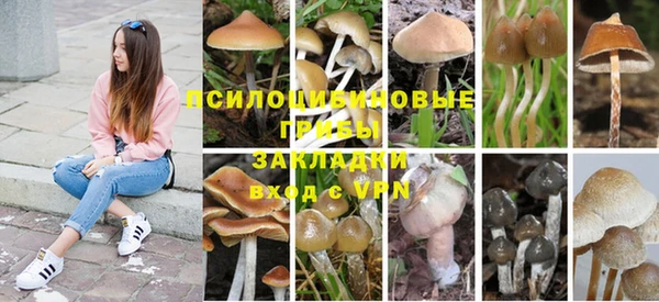 гидропоника Абинск