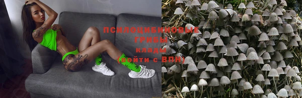 гидропоника Абинск
