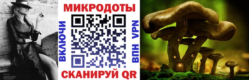 Псилоцибиновые грибы GOLDEN TEACHER  кракен онион  маркетплейс Telegram  купить наркотики цена  Остров 